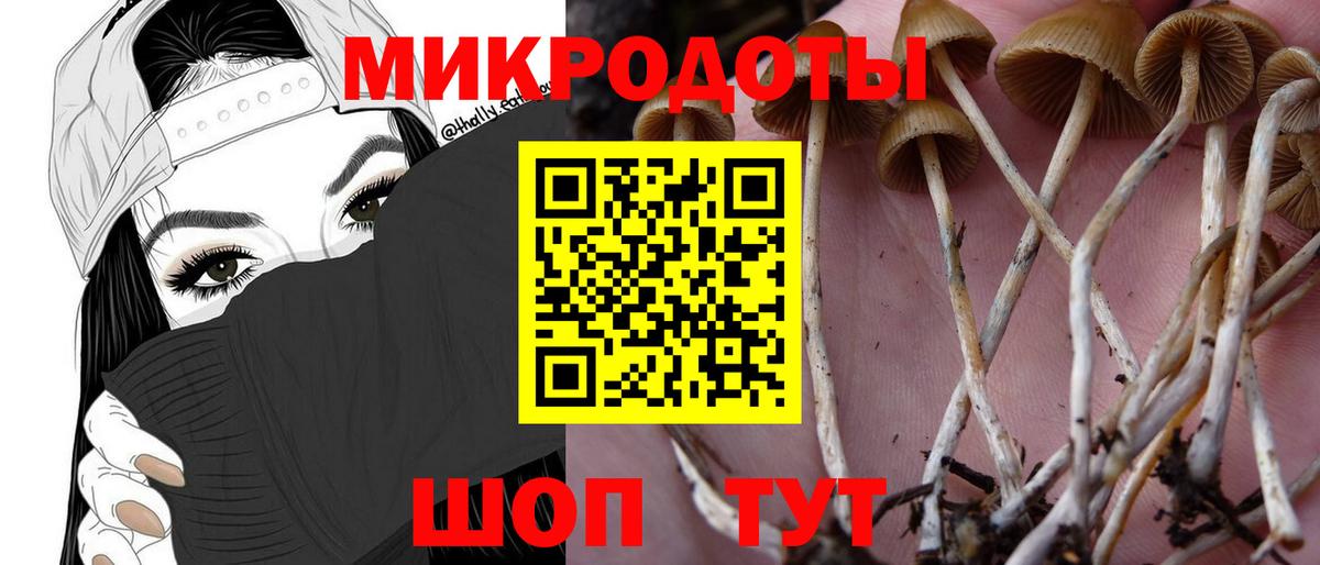 Псилоцибиновые грибы Psilocybine cubensis Набережные Челны